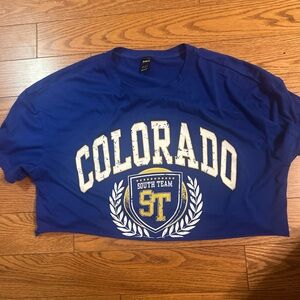 SHEIN Blue Colorado Graphic Tee